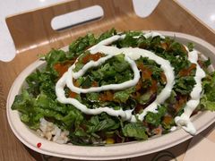 -油梨树 AVOCADO TREE(亮马桥店)