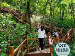 -大岭沟猕猴桃谷风景区