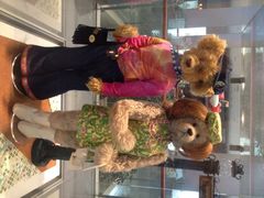 泰迪熊博物馆-济州岛泰迪熊博物馆