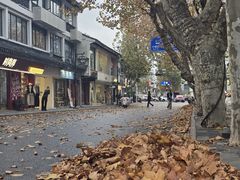 -同得兴 Since·1995 传统苏式面馆(十全街店)