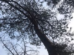 -崂山九水游览区