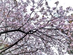 -黄兴公园