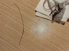 -吴氏老妈·23年家常菜(古城店)