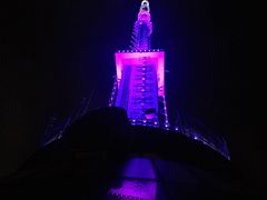 -339旋转餐厅(天府熊猫塔店)