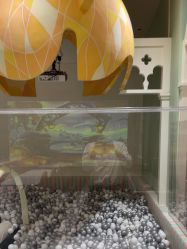 -奈尔宝·儿童乐园·亲子餐厅(华采天地店)