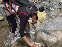 -西双版纳基诺山寨