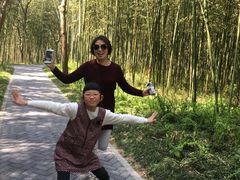 -黄海国家森林公园