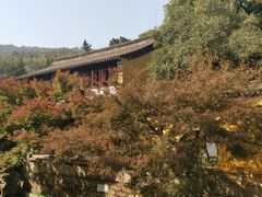 -兴福禅寺