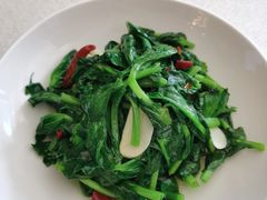 清炒豌豆尖-云腾食府·云南菜