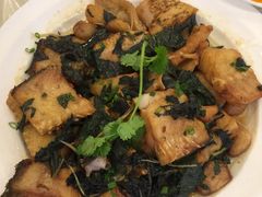 -螺涌海鲜酒楼(增槎路店)