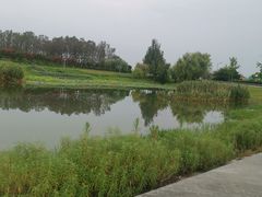 -两河城市森林公园