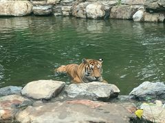 -北京野生动物园