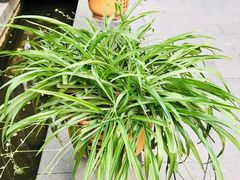 -泉乐坊步行街(烟酒特产平价超市店)