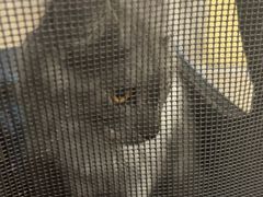 -佳雯宠物医院·皮肤科·内外科(春晓路分院)