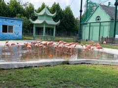 -秦皇岛野生动物园