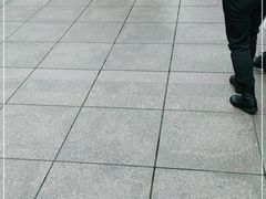 -新世界大丸百货