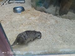 -南昌融创海世界