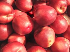 -红星农博物流中心