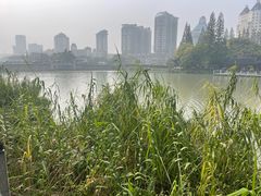 -南通濠河风景名胜区