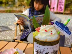 -渭南桃花源民俗文化园