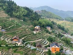 -紫鹊界梯田景区