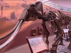 -陕西自然博物馆