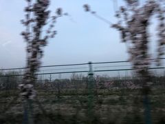 -花园口旅游区