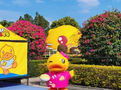 -东南花都花博园