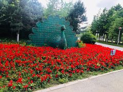 -长白岛森林公园