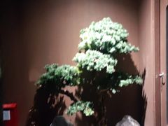 -江南足纪·影院足道·轻奢SPA(京基水贝店)