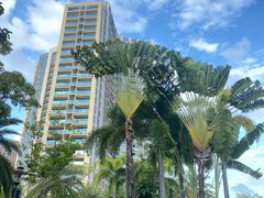 -三亚凤凰水城凯莱度假酒店