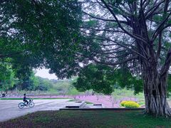 -华南理工大学(大学城校区)