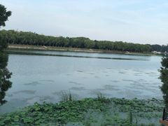 -素心小筑(后沙裕镇店)