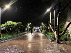 -杭州半山国家森林公园