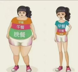 -香薇妮丝女子减肥院