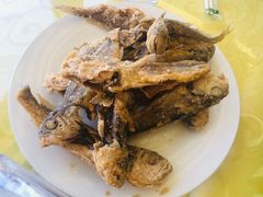 -叶存利海鲜大馅饺子(东戴河止锚湾店)