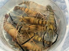 -DGE季风钓虾营地·团建·聚会