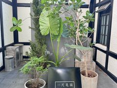 -一尺花园(安和花园店)