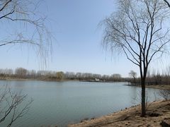 -东郊湿地公园