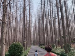 -上海怡沁园度假酒店