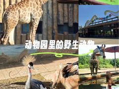 -济南野生动物世界