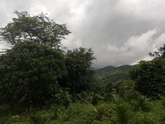 -七仙岭温泉国家森林公园