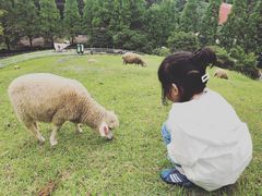 -神户市立六甲山牧场