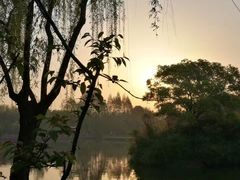-荆川公园