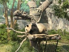 -石排湾郊野公园
