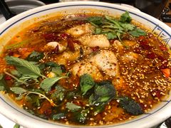 -云海肴·汽锅鸡·云南菜(天山百盛优客店)