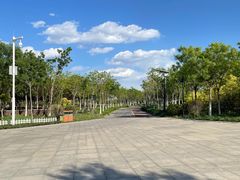 -天津东丽湖风景区