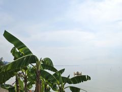 -捞渔河湿地公园