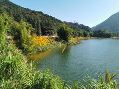 -广州市石门国家森林公园