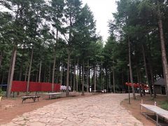 -塞罕坝国家级自然保护区